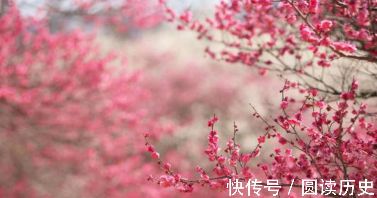 王润之!苏轼给新婚妻子写首妙词,很多家长看过后表示:可别让我孩子看到