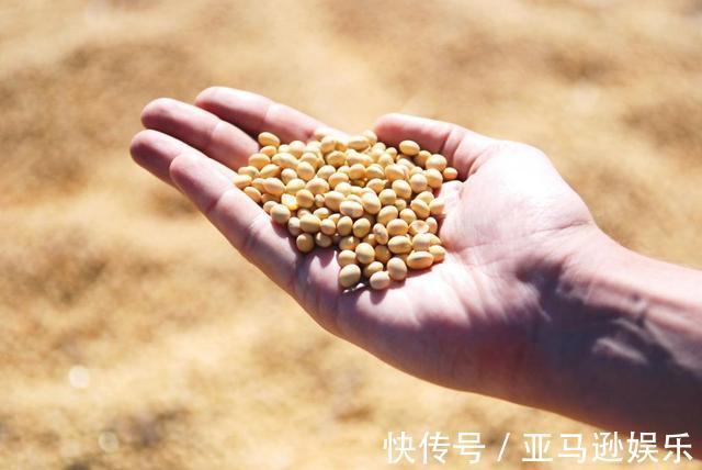 零食|女人50岁后不要太节俭,这7种零食或要舍得吃,补充雌激素抗衰老