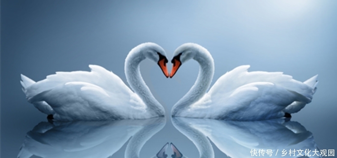 姐弟恋|《深情眼》:姐弟恋完美演绎,万水千山总是情!