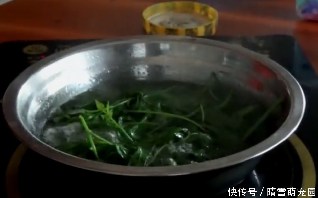 农村|农村大妈在路旁采野菜，说是一小把能卖10块钱，你们吃过吗