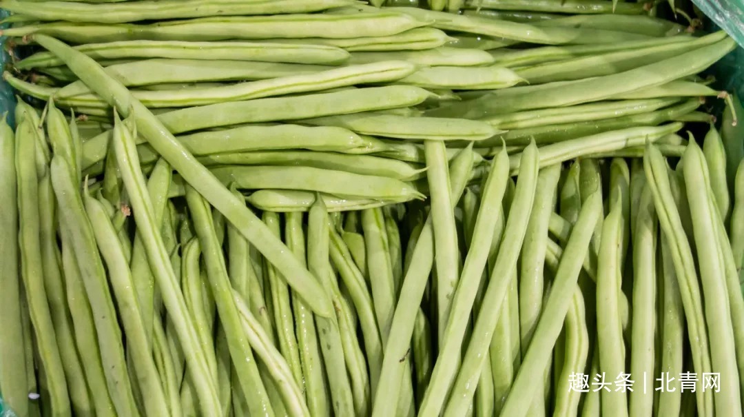 毒素|食用香椿会致癌四季豆含毒素八大蔬菜谣言别再信了