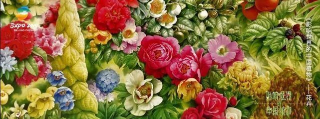 植物画#中国植物画第一人,让世界看到中国植物之美!