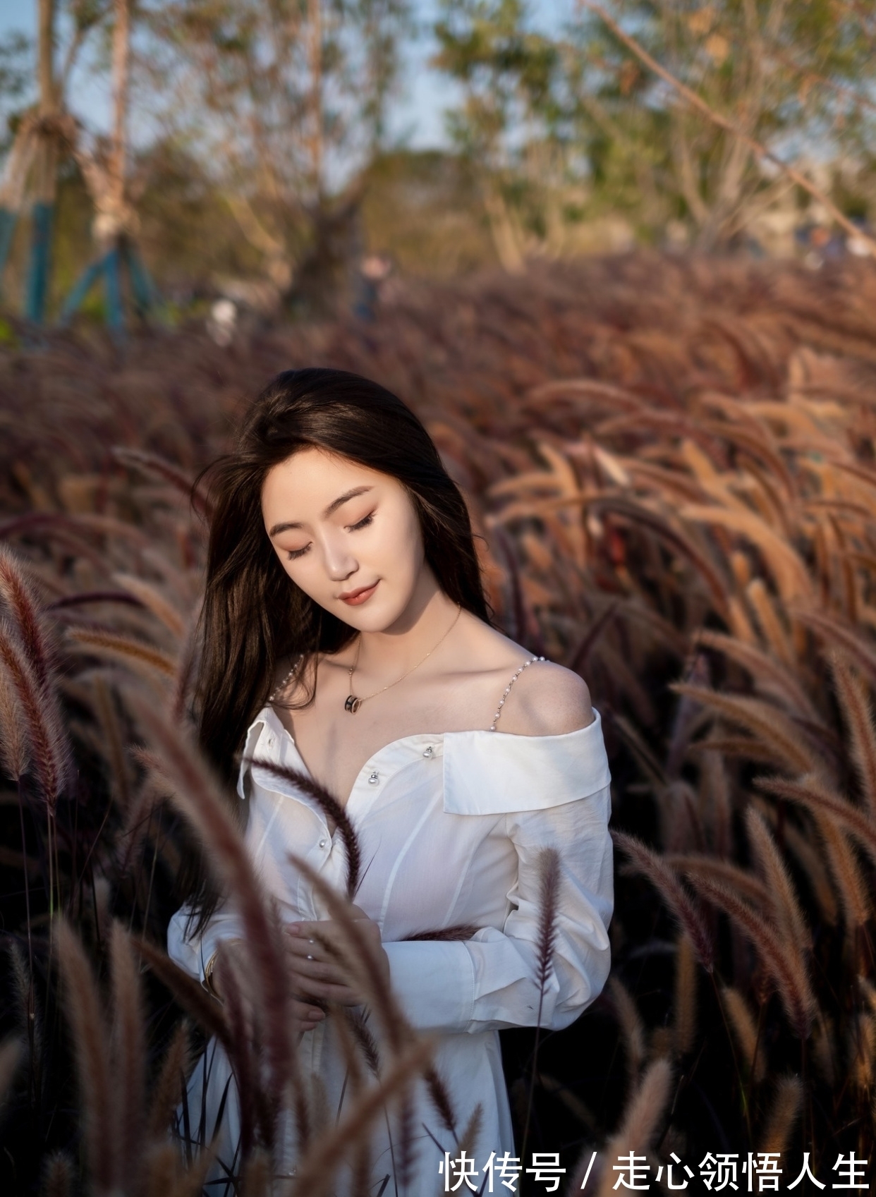 尘心&多少世间萦绕事,怎奈尘中参透。寂寂凭窗听,归叶秋声微扣