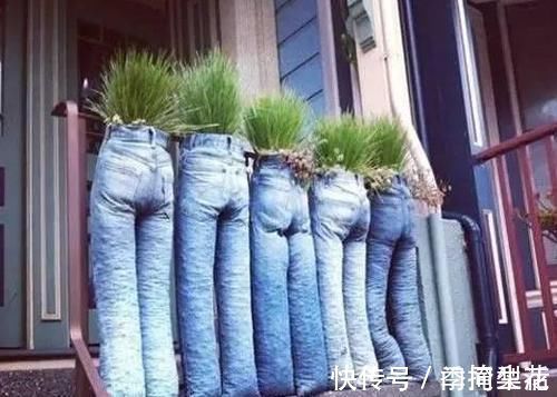 花盆|除了花盆之外,这些东西也是绝佳的养花神器,你用过吗?