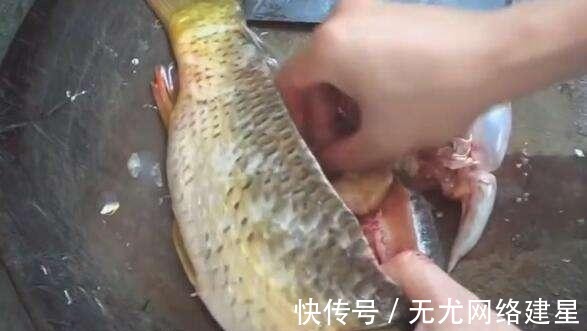 肉馅|媳妇将剁好的肉馅塞到鱼肚中, 没想到出锅后, 味道出奇的好