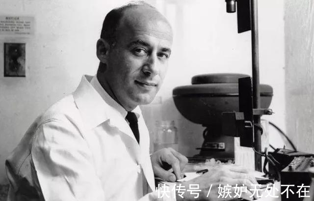 饮食|开普敦大学博士:深信不疑的健康饮食,竟然是一场骗局