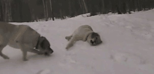 运动|它比跑步更伤膝盖，如何 “ 延长膝盖寿命 ”,骨科医生这样说！