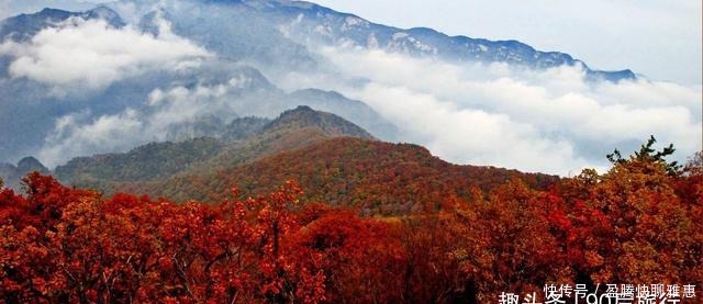 华北最后一块原始森林，门票仅30块，冬天来能欣赏到大雪压青松