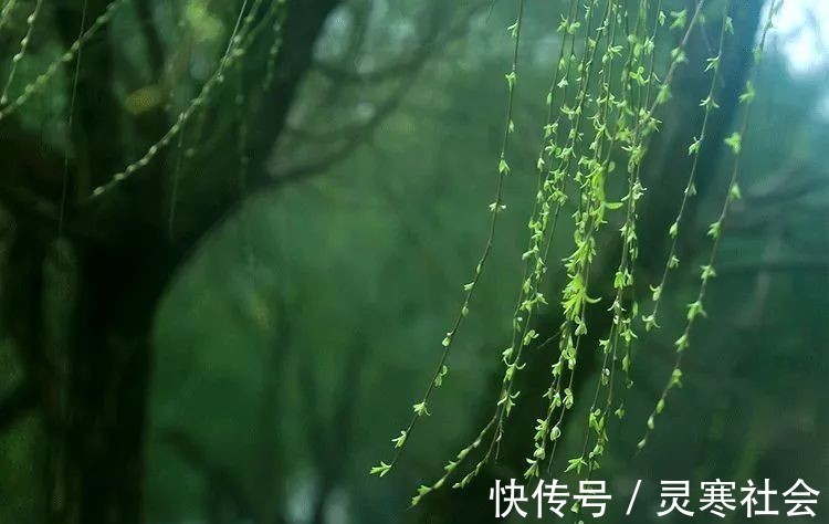 凶德!曾国藩10句话,让你明白天下事,看清天下人