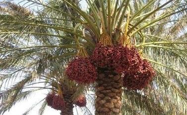 预防|癌症令人恐惧,但坚持“3物3事”癌症反而躲着你,早知道早预防