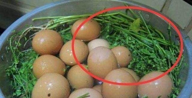 杀菌|女人妇科炎症异味重,每天吃点它,消炎杀菌止痒,连医院都不用去