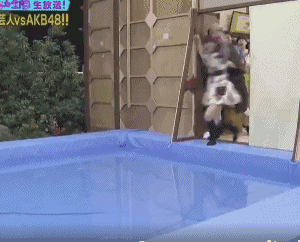 上日本综艺的女嘉宾:被踹头、拎着双腿扔出去,还要说谢谢?