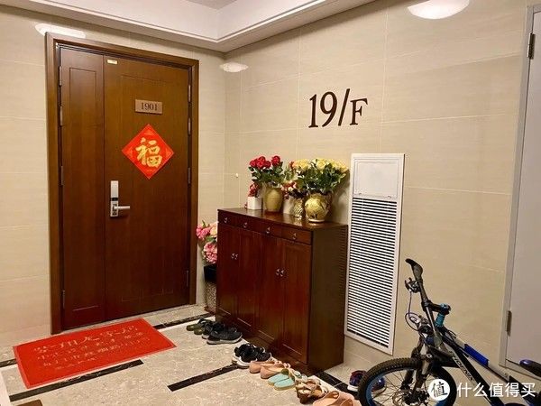 电梯|走廊放鞋柜常见,但还是第一次见这么和睦相处,你觉得这样好吗?