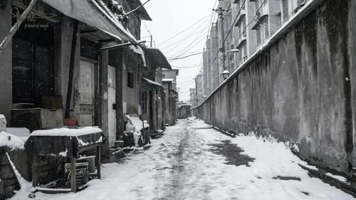 洗尽铅华，在雪中的杭州市区，也有一些这样平凡的角落