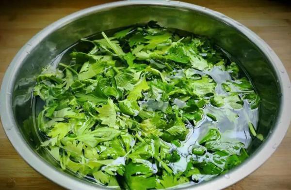 这菜拿来炒鸡蛋,比韭菜还香,平时总嫌弃,都是扔掉处理,可惜了