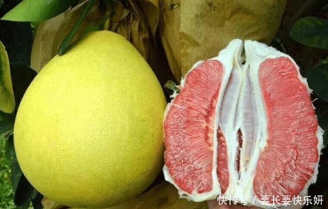 选大|买柚子时,选大的还是小的牢记5点小技巧,个个清甜多汁好吃