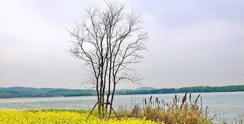 原创图集《东湖野趣》——你相信这里也是武汉的东湖风景区吗？