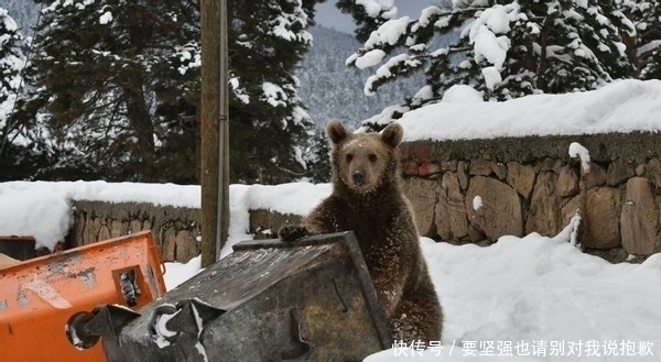 垃圾桶|孩子若是有这几种“节俭”举动,未来容易没出息,家长别再偷着乐