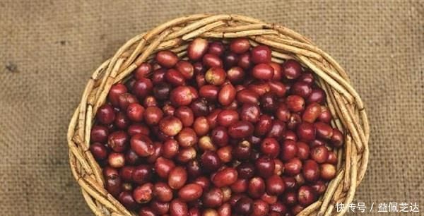 益气|人到中年想长寿,4种食物要多吃,补血益气,生津养胃,早吃早好