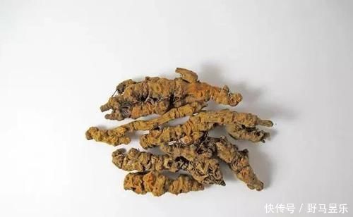 良效|此物被人称为“最苦”的中药,入药也最能清心火、解热毒、除湿气