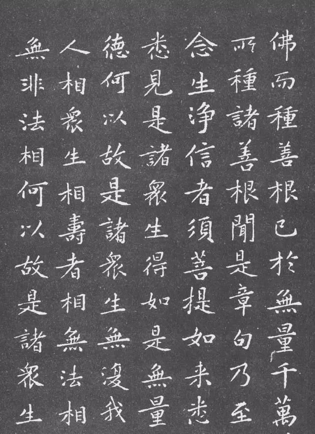 张蔚&宋代黄庭坚小楷《金刚经》拓本,感谢分享转发