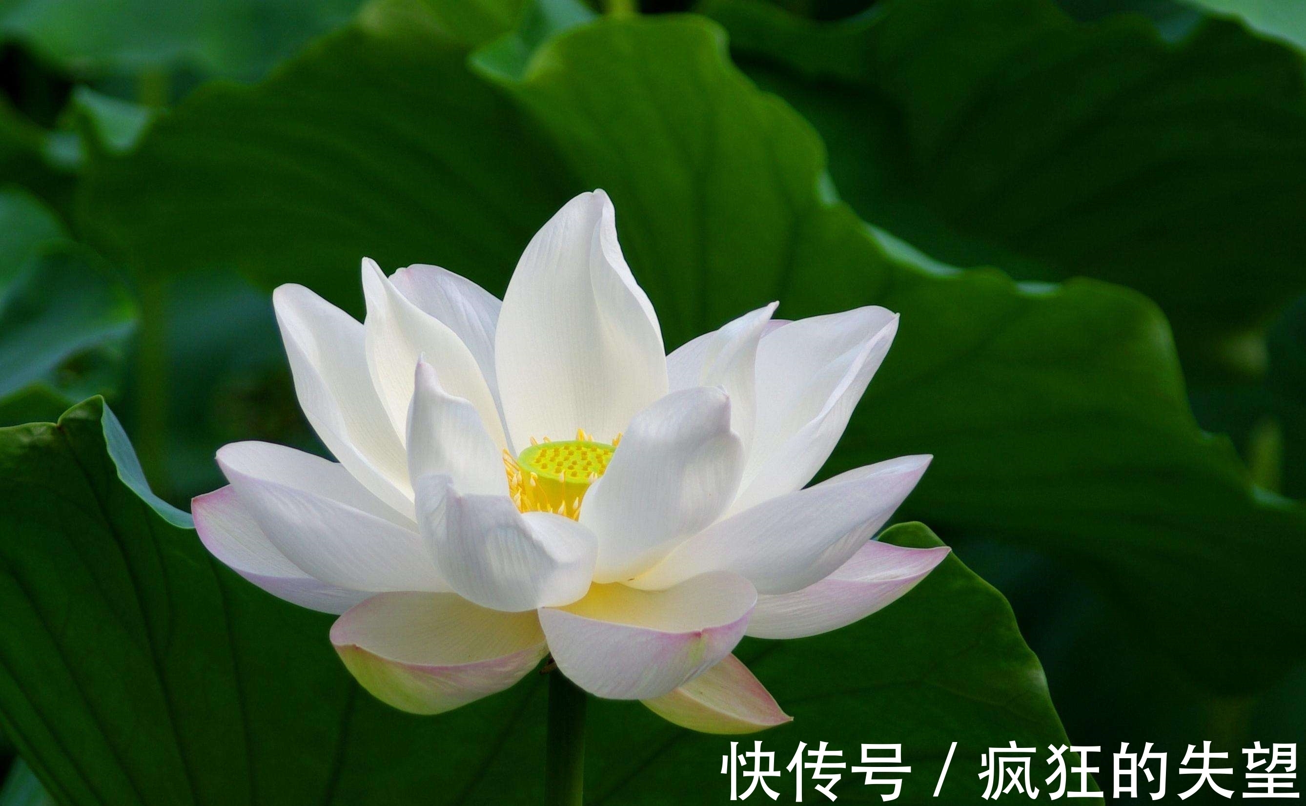 空性@对于鬼神，你信还是不信？《心经》中给出这样的解释