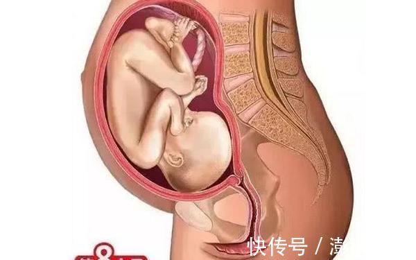 第四个月|胎儿形成的全过程,十张高清组图让你了解生命孕育,感叹妈妈伟大