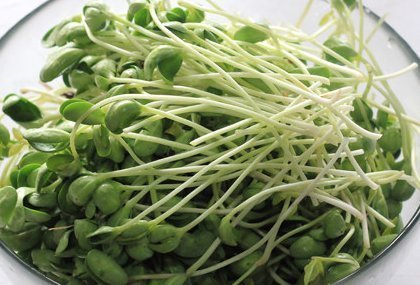 莼菜|女性到了中年,多食4种食物,补气养血,补血护肤,促进子宫排毒