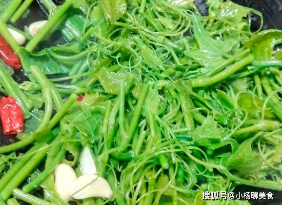 瓜苗|夏天遇到这菜一定要买，清口爽脆，敞开吃不长肉，还变瘦