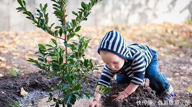 高智商的宝宝，大多都有这七个特征，但容易被父母误以为是缺点