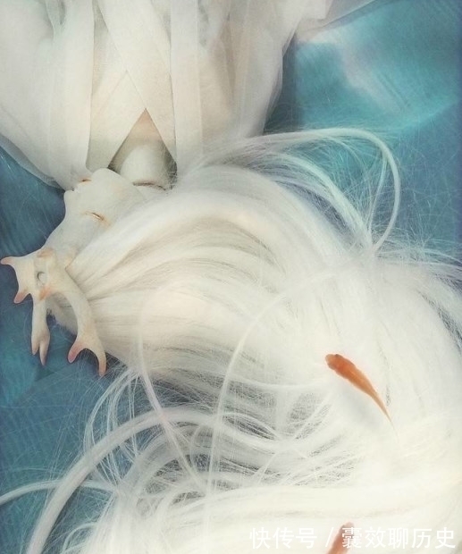 少年霜&一开口就让人“酥断腿”的4首古风,双笙独占两首,听到耳尖发热