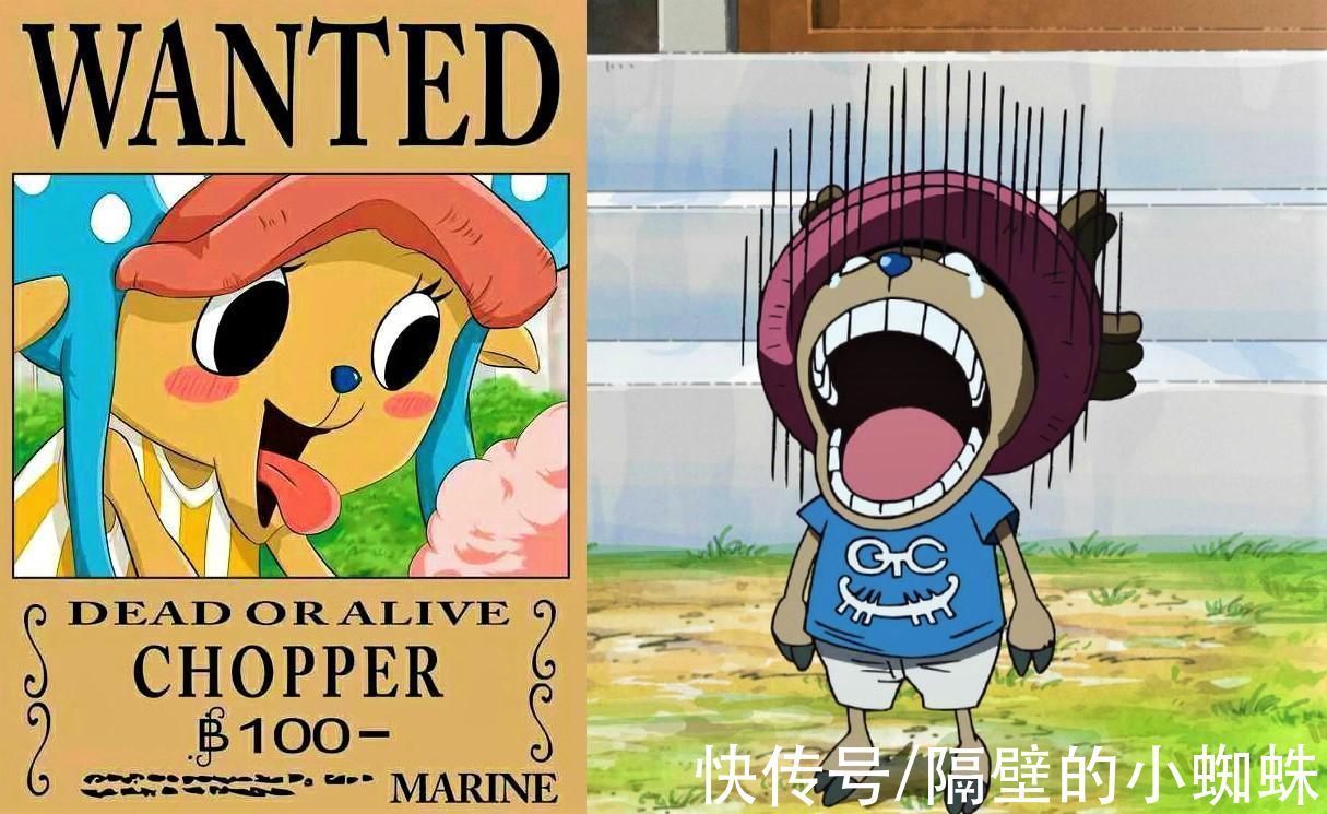 佐乌岛|海贼王1024话:前挡四皇大妈,后打13亿奎因!乔巴的悬赏金该涨了