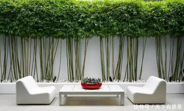 庭院,也需要断舍离