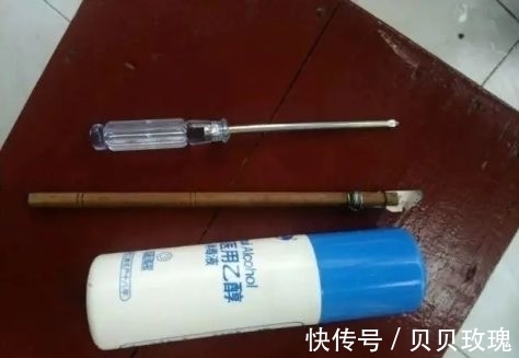 长寿花不好养,这样嫁接,以后不烂根,不黑腐,花开多爆盆