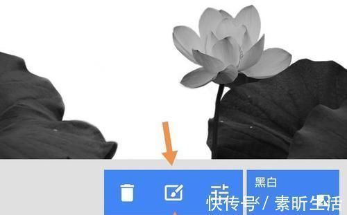 姓氏|如今第一批“随母姓”孩子已成年,却不得不面临三个棘手考验