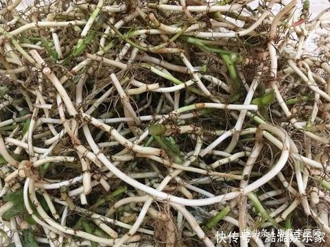 食物|營(yíng)養(yǎng)保健的好食物，沒事常吃，緩解疲勞，預(yù)防便秘，氣色更好