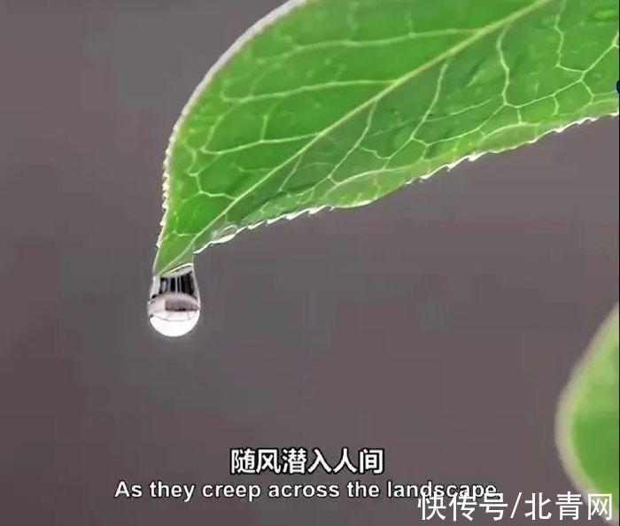 节气|新华全媒+丨在中国古诗词里，寻找北京冬奥的“节气密码”