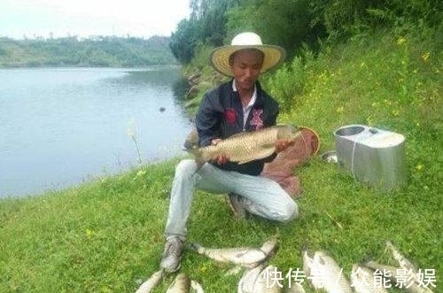 鱼有鱼道,老杨教你如何快速寻找钓草鱼鱼道!