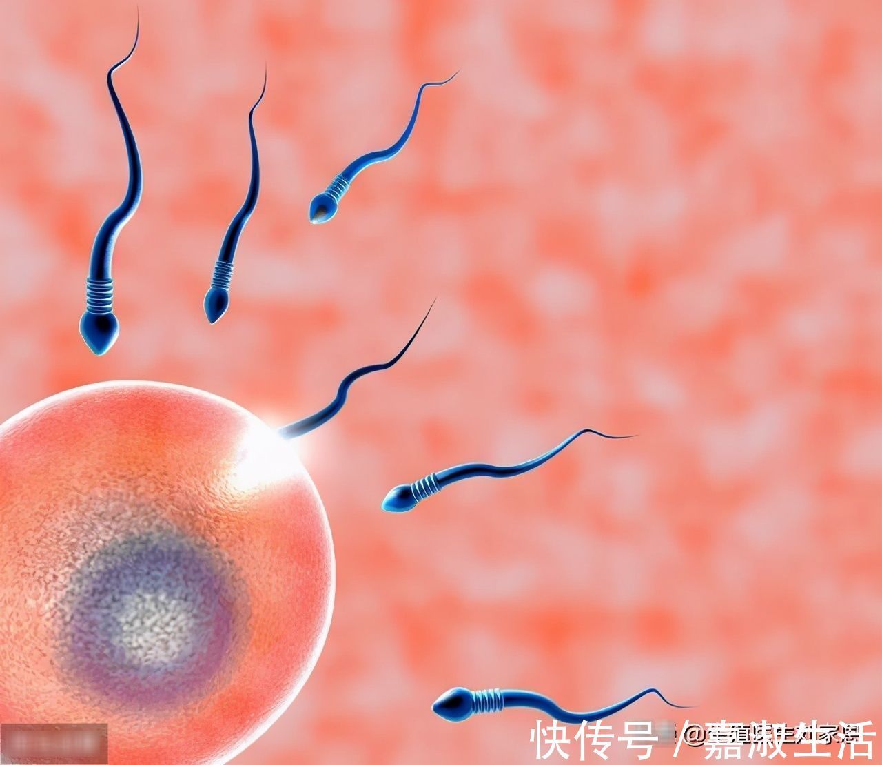 生育能力|现代人怀个孕,被流产,胎停,胎儿畸形,折腾惨了