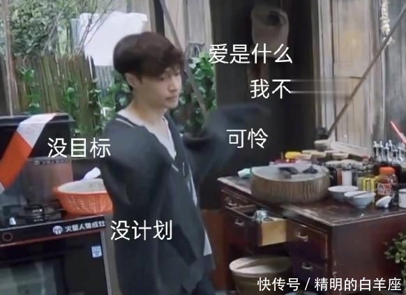 黄磊 张艺兴是《向往》中,唯一不敢喝特仑苏的人,喝一口就要赔钱