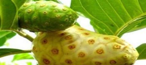 人到中年推荐常吃3种食物，排毒养颜，补血益气，延缓肌肤衰老