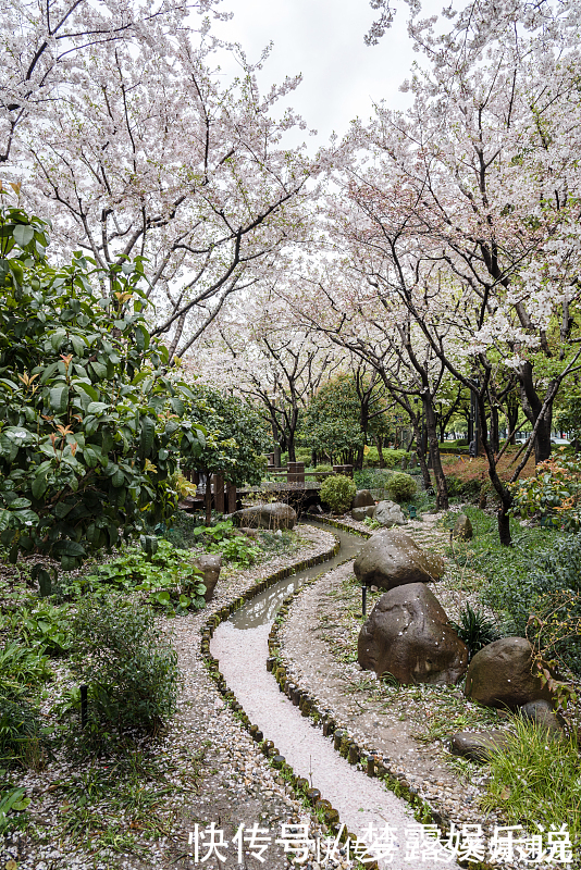 小洋房|未来10年,这三类房子将成为奢侈品,懂行的人已经“悄悄”下手