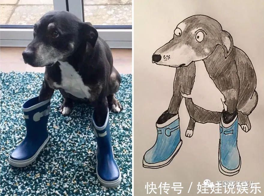 pet#随手涂鸦,自己觉得是“垃圾”的画作,没想到却在网上卖疯了