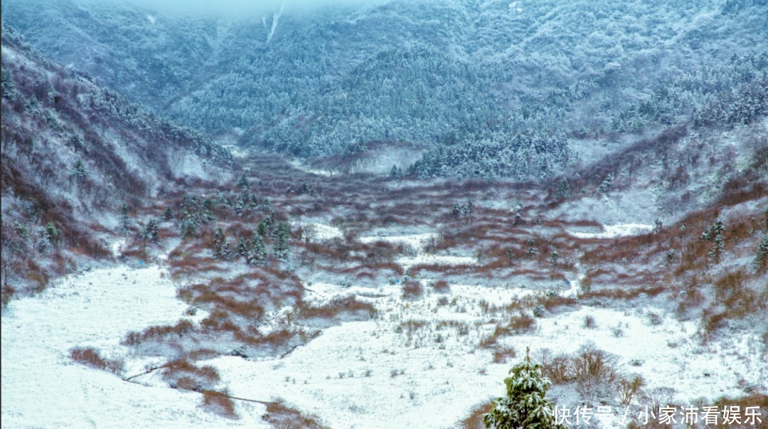 重庆主城|下雪了！雪玉山今冬第一场雪已“到货”，美景刷爆朋友圈！