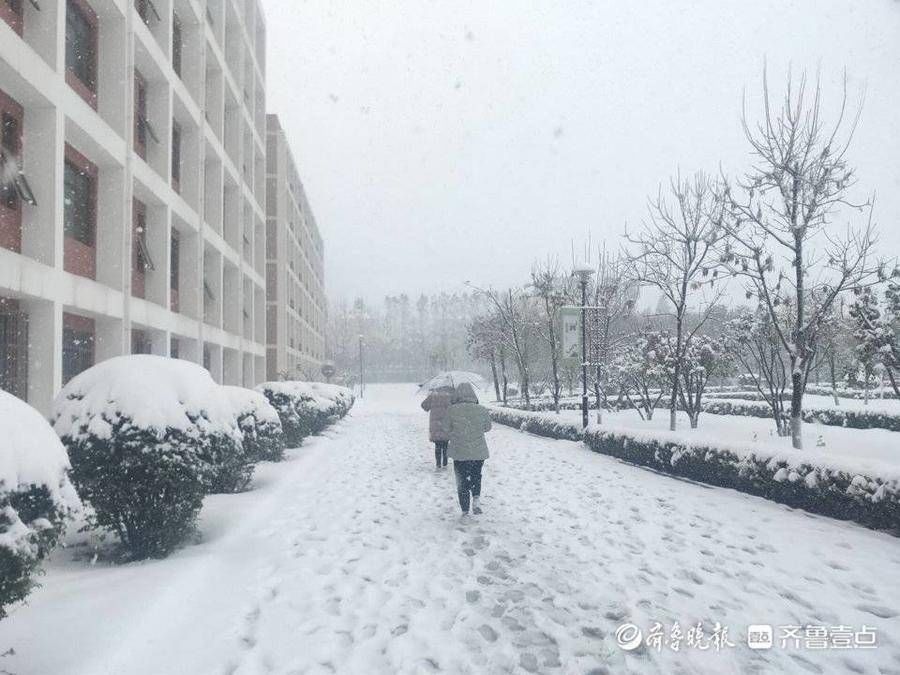 济南工程职业技术学院|暴风雪下的驻济大学生：校园里肆无忌惮滚雪球，那是我们的青春啊