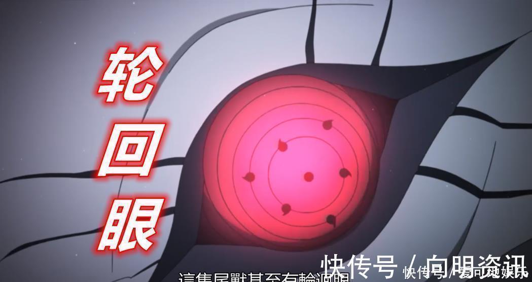 博人传|博人传202集，第2只10尾现身，它竟是慈弦的宠物，轮回眼吓坏佐助