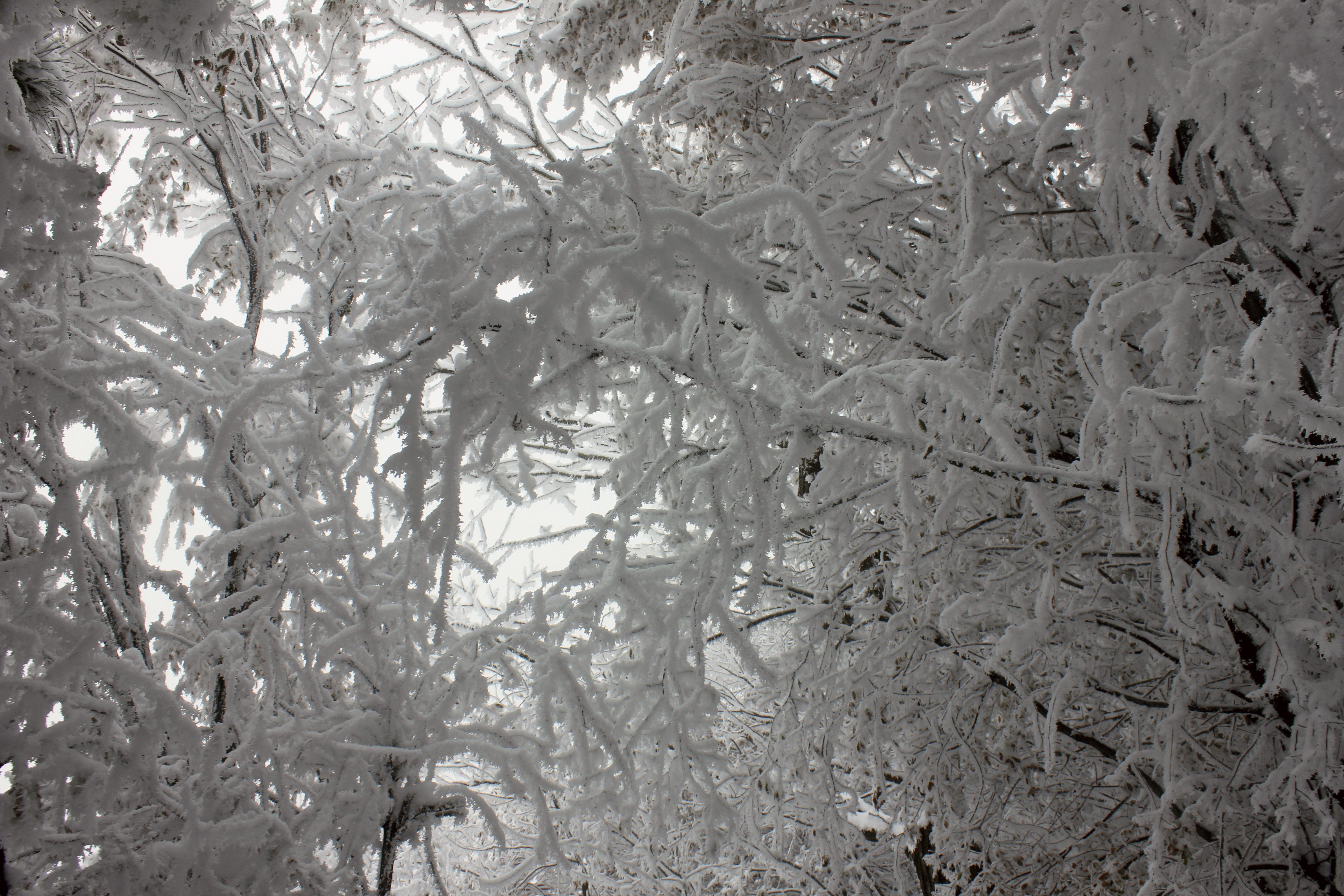 征集|【年末福利征集】雪后南五台幸遇云海