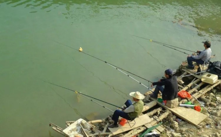 垂钓|冬天鲫鱼不好钓?教你个新办法,专攻冬天的鲫鱼