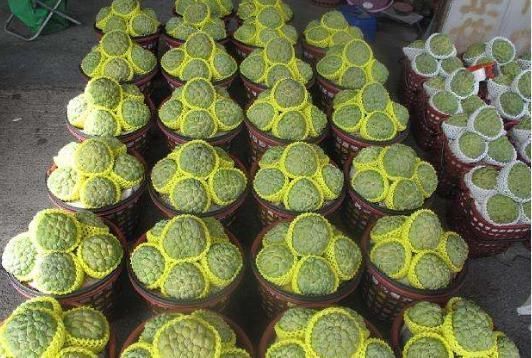 被誉为“最甜水果”,比甘蔗甜,南方大量种植,北方却少有人吃过