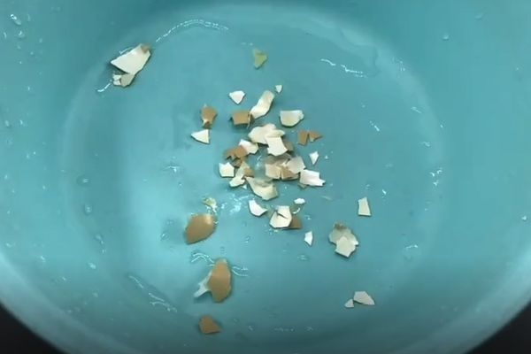 扔鸡蛋壳等于在扔钱,留在家里特别“值钱”,作用花钱都买不到